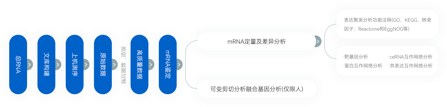 框架圖