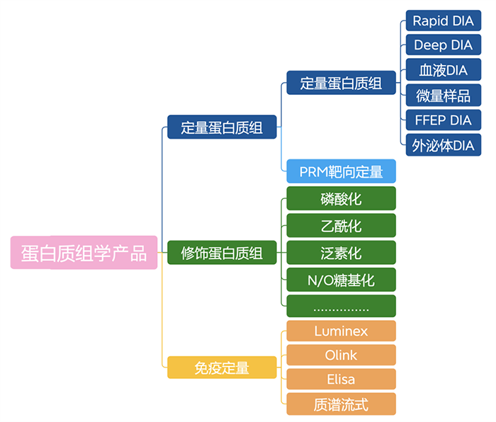 圖層 2